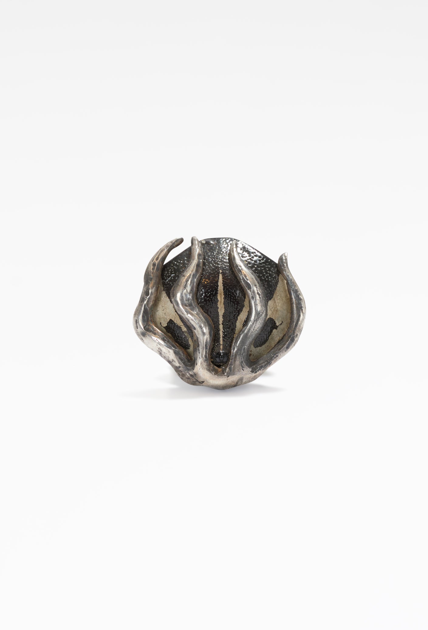Symbiosis Medal