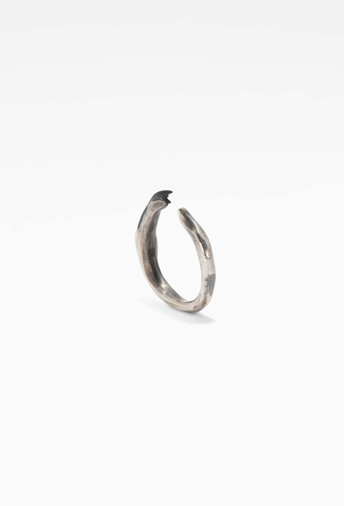 Chitiner - Black Fangs Ring Tarnished Slightly Damaged