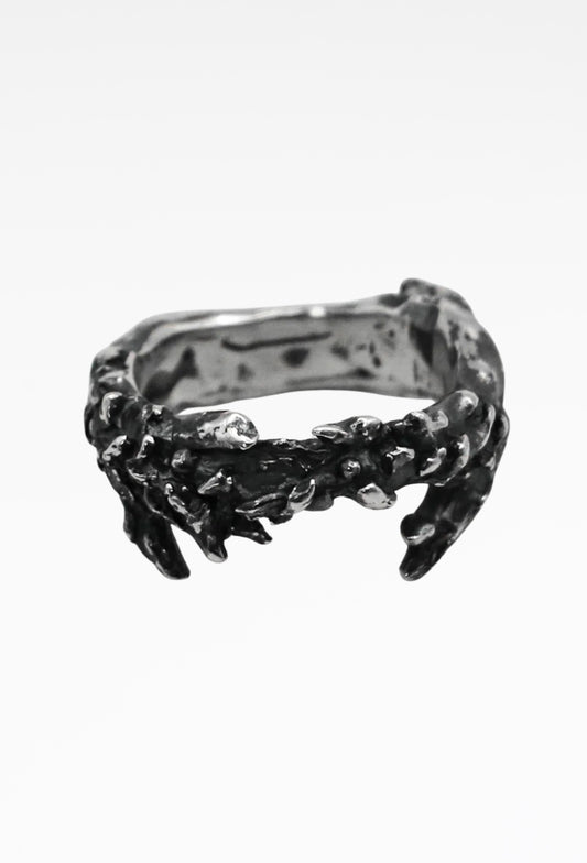 Pine Ring