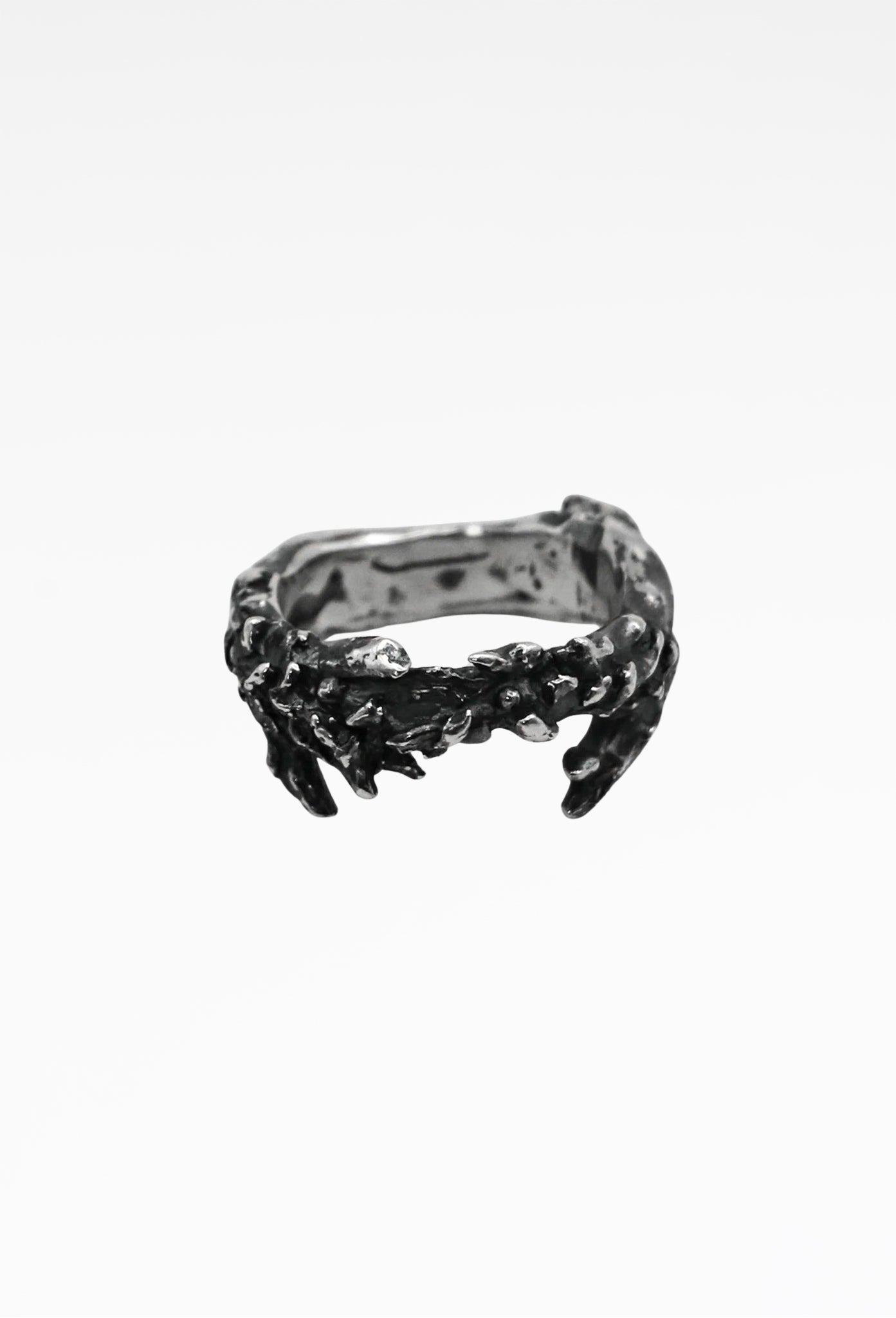 Pine Ring