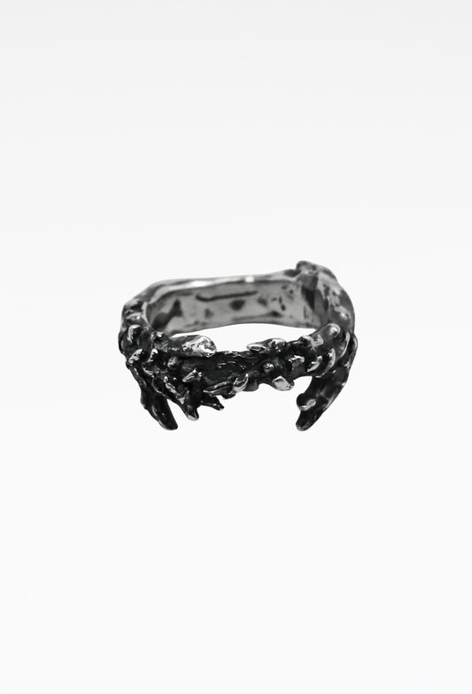 Pine Ring