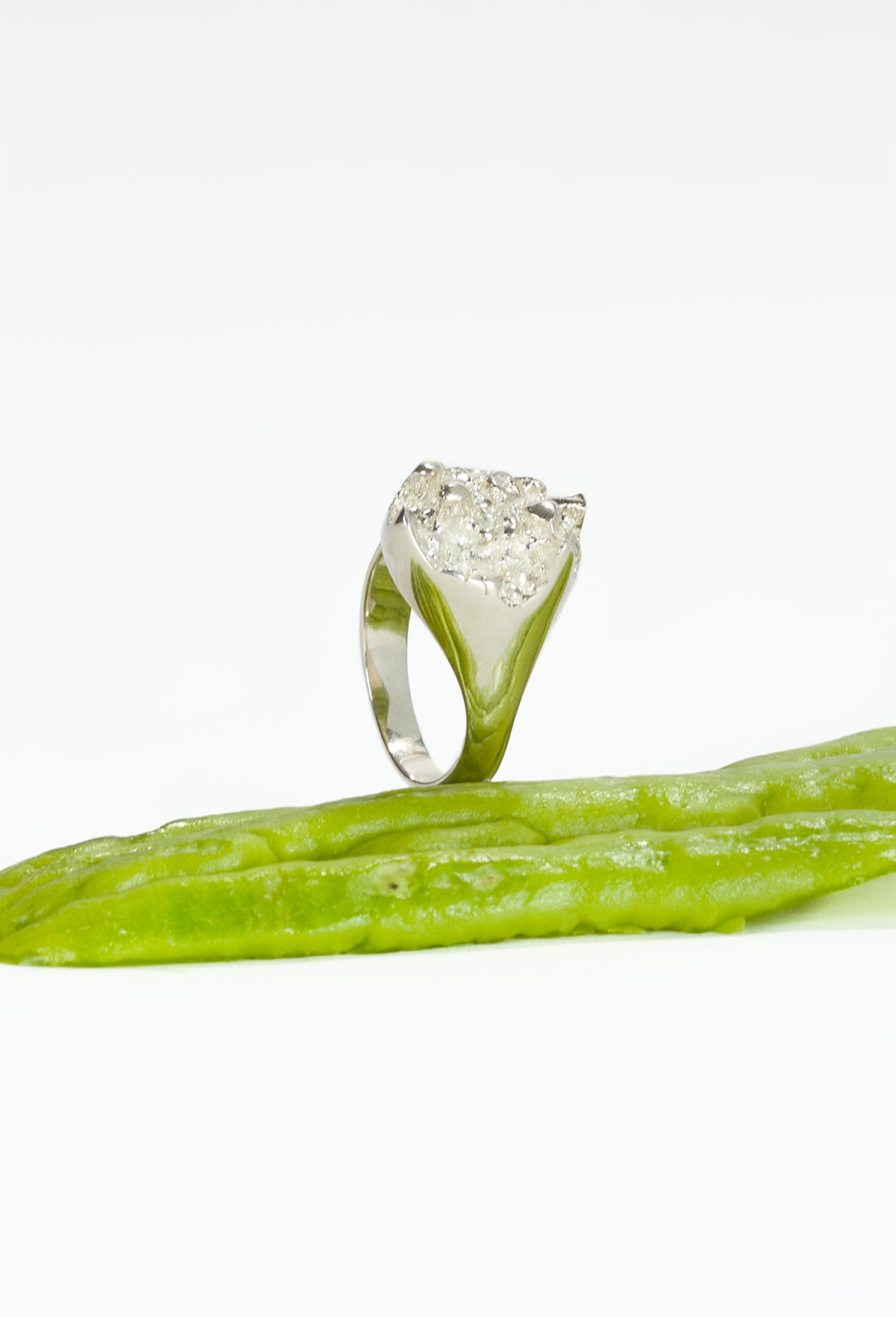 Melon Mountain Signet Ring