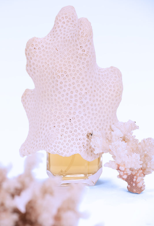 Tempest’s Kiss EDP