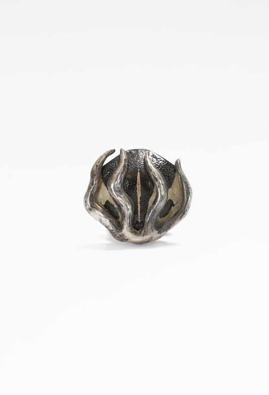 Symbiosis Medal