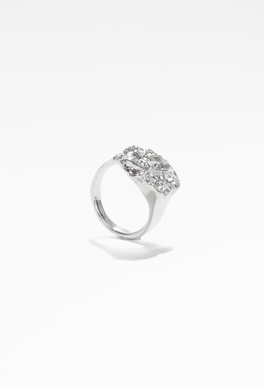 Cavolo Signet Ring